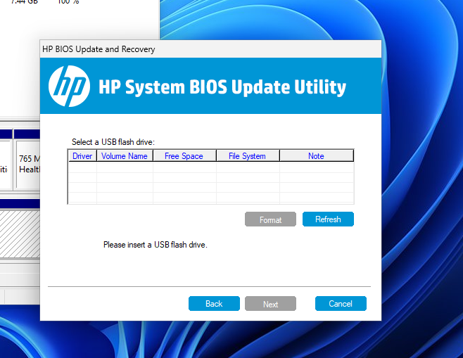 System update utility not seeing flash drives