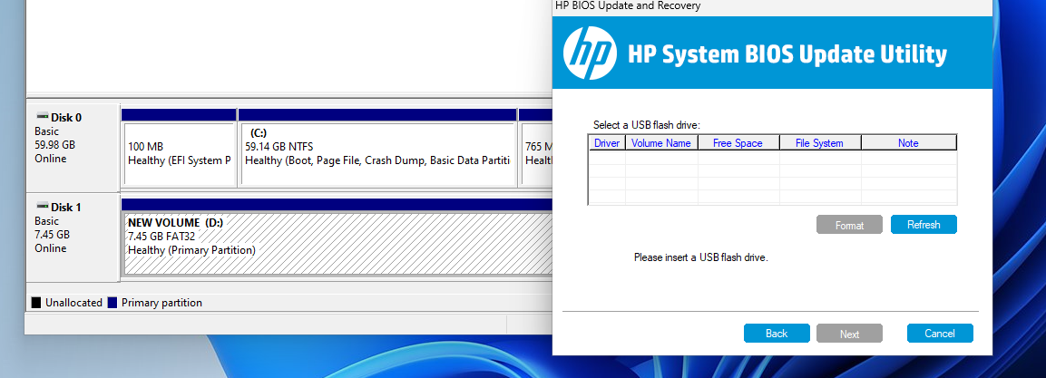 HP System BIOS Update Utility failing to recognize any drives
